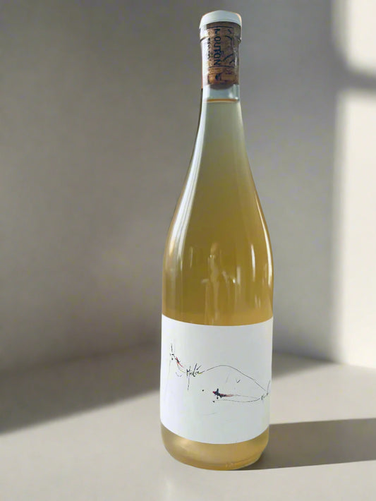 Bottle of Mouton Noir Médée White Wine 2022 featuring a minimalist label with abstract art, displayed on a white surface with a neutral background.