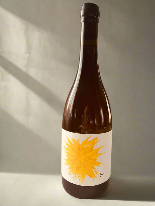 A sophisticated bottle of Gilles Troullier orange wine from Roussillon, showcasing a minimalist label design with refined typography that highlights the artisan nature of the wine. The bottle exudes elegance and craftsmanship, reflecting the unique character of Roussillon orange wines